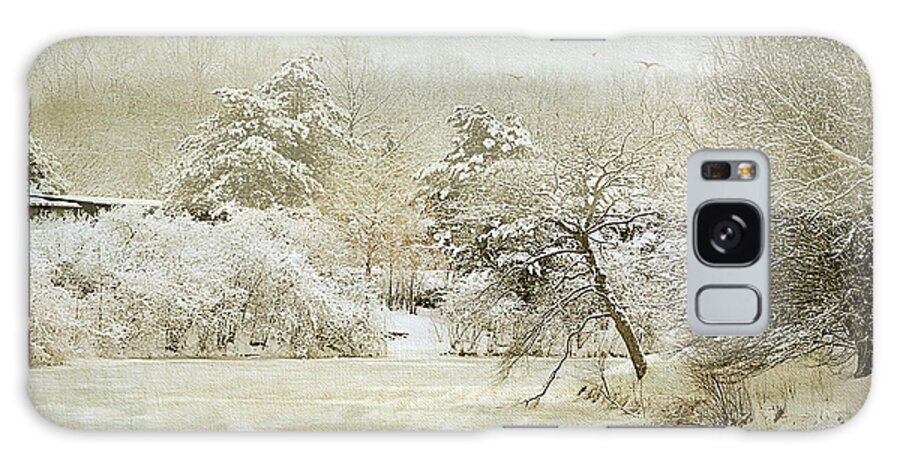 Winter Galaxy Case featuring the photograph Winter Silence by Julie Palencia