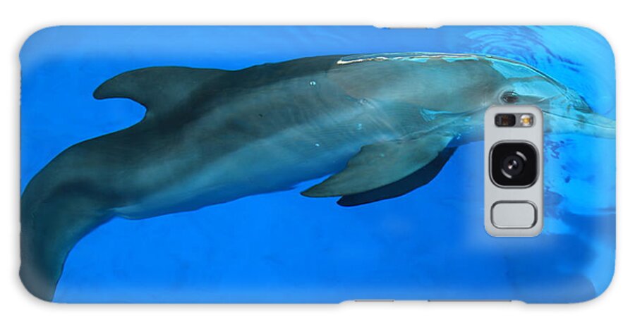 Nature Galaxy Case featuring the photograph Winter the Dolphin by Doug McPherson