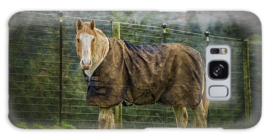 Horse Galaxy Case featuring the photograph Winter Wear by Belinda Greb