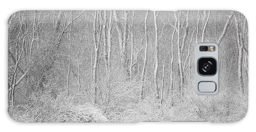 Flatlandsfoto Galaxy S8 Case featuring the photograph Winter Wood 2013 by Joan Davis