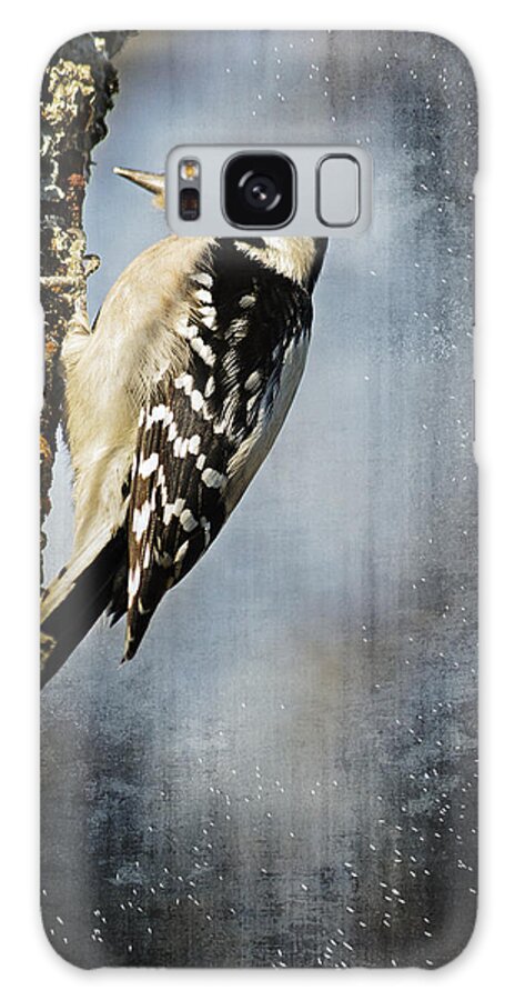 Animal Galaxy Case featuring the photograph Winter Woodpecker by Lena Wilhite