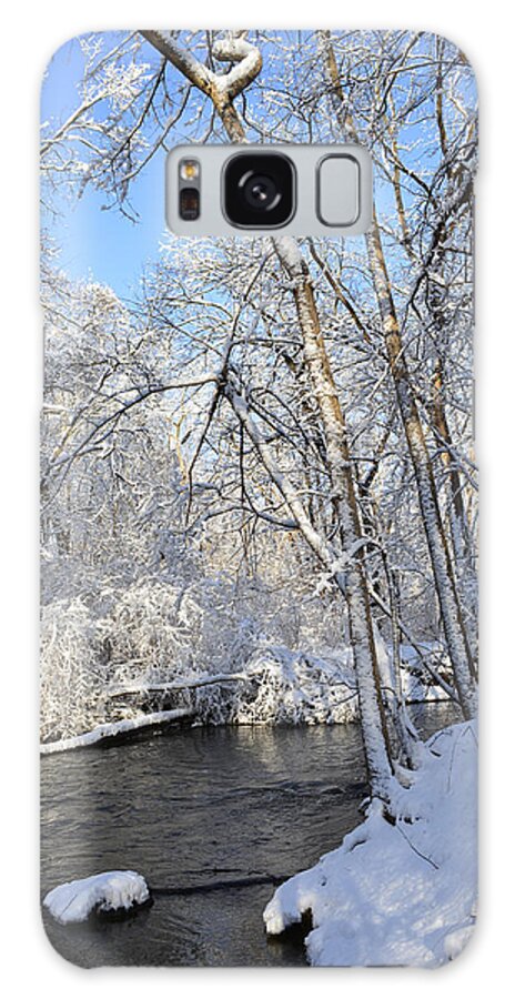 Winter Galaxy Case featuring the photograph Winter's Best by Forest Floor Photography