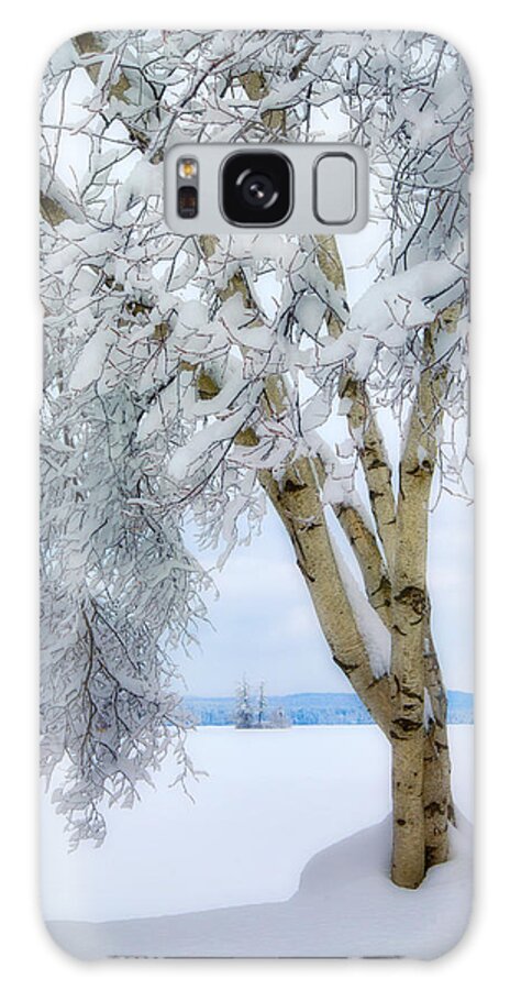 Winter Galaxy Case featuring the photograph Winter's Dream by Darylann Leonard Photography