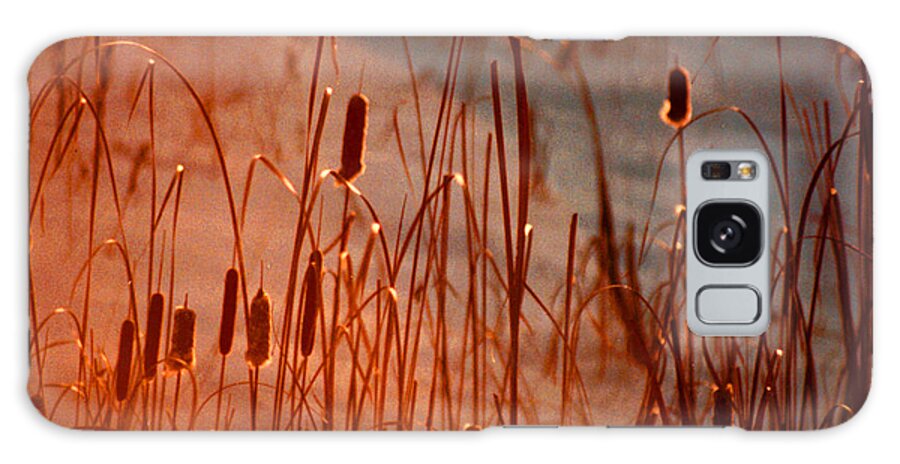 Landscape Paintings Galaxy Case featuring the photograph Winter's Glow by R Thomas Brass
