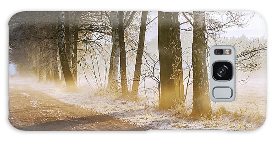 Tranquility Galaxy Case featuring the photograph Winter...where Are You by Bob Van Den Berg Photography
