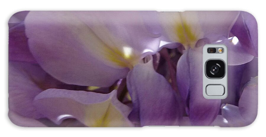 Purple Galaxy Case featuring the photograph Wisteria Duo by Claudia Goodell