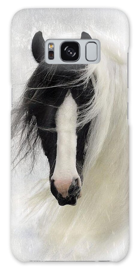 Horses Galaxy Case featuring the photograph Wisteria by Fran J Scott