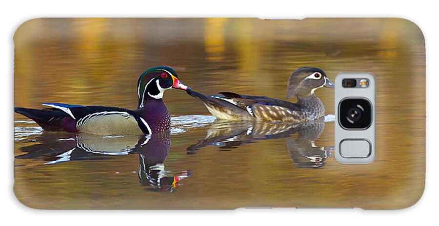 Duck Galaxy Case featuring the photograph Wood Ducks by Jim E Johnson