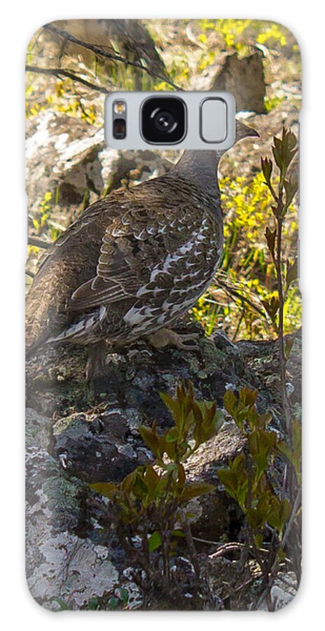 Wood Galaxy Case featuring the photograph Wood grouse by Thomas Nay