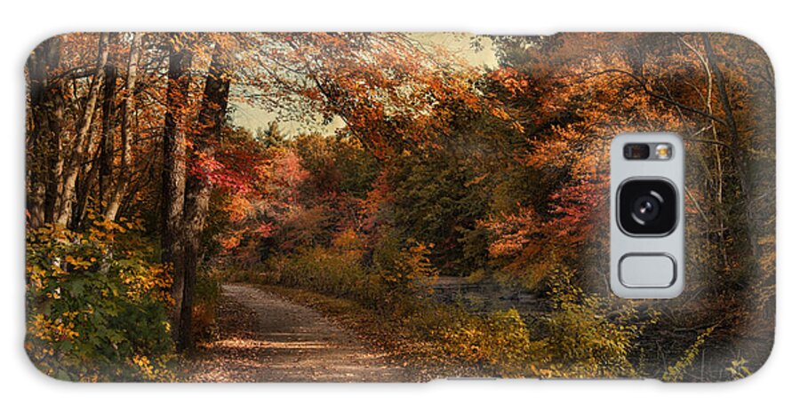 Autumn Galaxy Case featuring the photograph Wrapped in Autumn by Robin-Lee Vieira