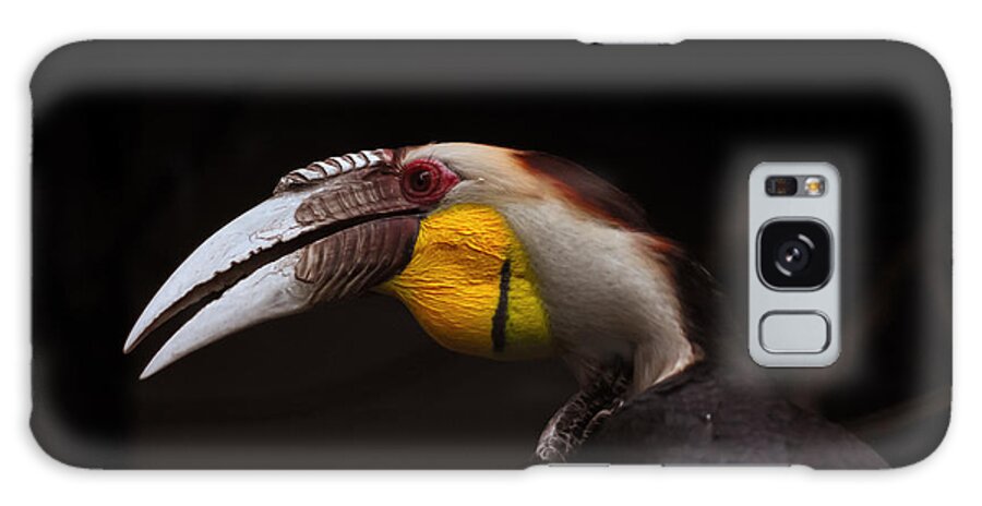 Zoo Galaxy Case featuring the photograph Wreathed Hornbill by Eugene Campbell