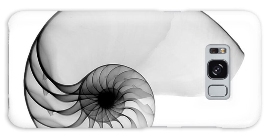 Radiograph Galaxy Case featuring the photograph X-ray Of Nautilus by Bert Myers