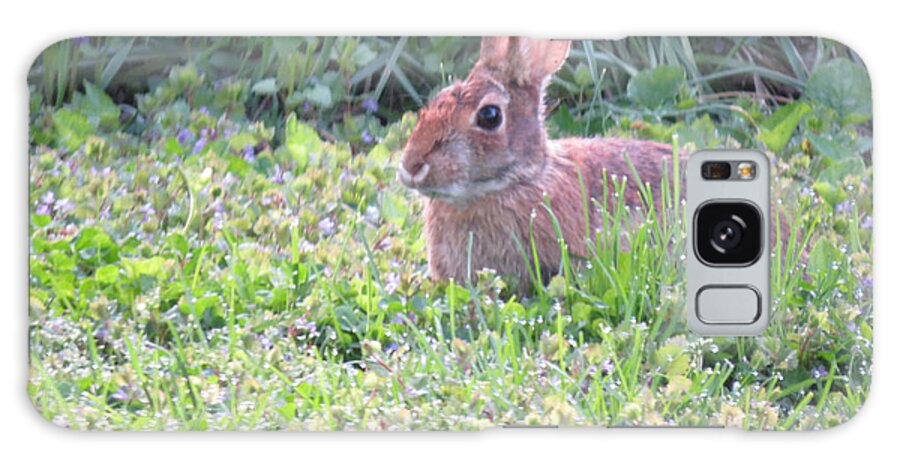 Rabbit Galaxy Case featuring the photograph Yard Bunny 1 by Linda L Martin