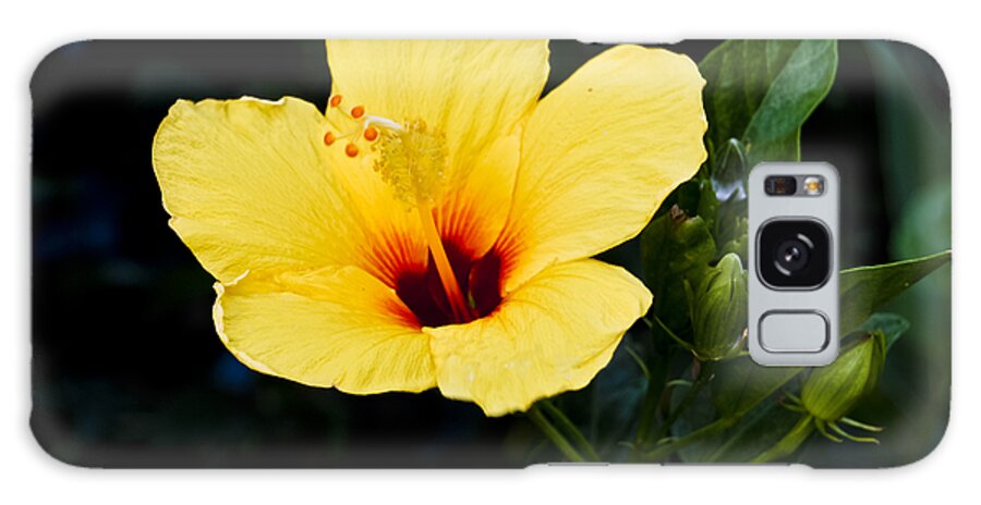 Botanic Galaxy Case featuring the photograph Yellow and Red Hibiscus by Christi Kraft