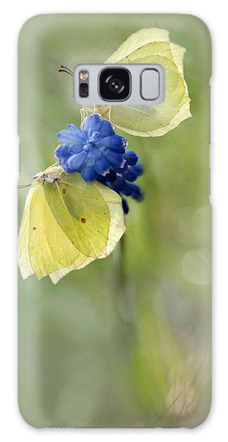 Butterfly Galaxy S8 Case featuring the photograph Yellow Duet by Jaroslaw Blaminsky