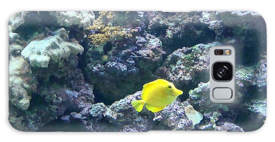 Reef Galaxy Case featuring the photograph Yellow Fish by Anthony Seeker