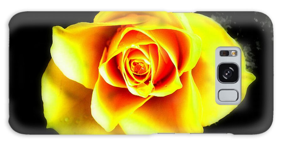 Plant Galaxy Case featuring the photograph Yellow Flower on a dark background by Steve Kearns