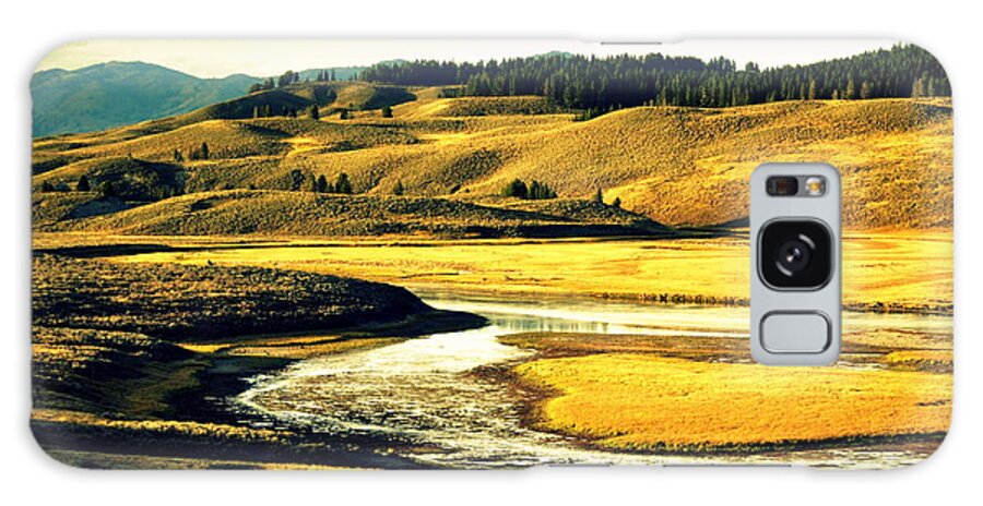 Yellowstone National Park Galaxy Case featuring the photograph Yellow Grass of Yellowstone by Lisa Holland-Gillem