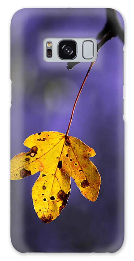 Leaves Galaxy S8 Case featuring the photograph Yellow leaf by Mikel Martinez de Osaba