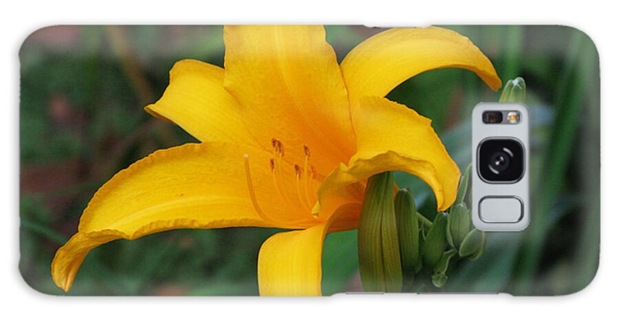 Yellow Galaxy Case featuring the photograph Yellow lily by Mini Arora