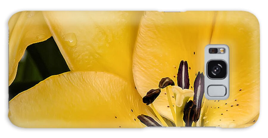 Lily Galaxy Case featuring the photograph Yellow Lily by Scott Norris