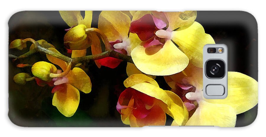 Orchid Galaxy Case featuring the photograph Yellow Orchids Shadow and Light by Susan Savad
