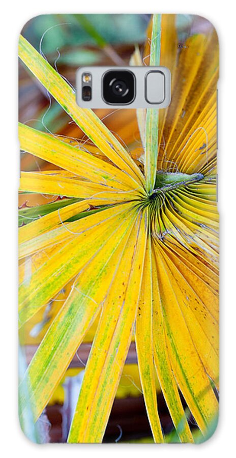 Leaf Galaxy Case featuring the photograph Yellow Palm 1 by Stephen Anderson