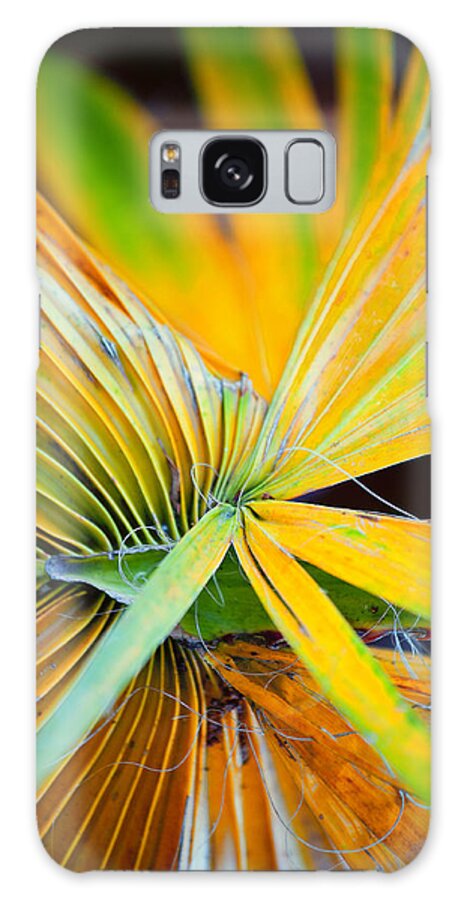 Leaf Galaxy Case featuring the photograph Yellow Palm 2 by Stephen Anderson