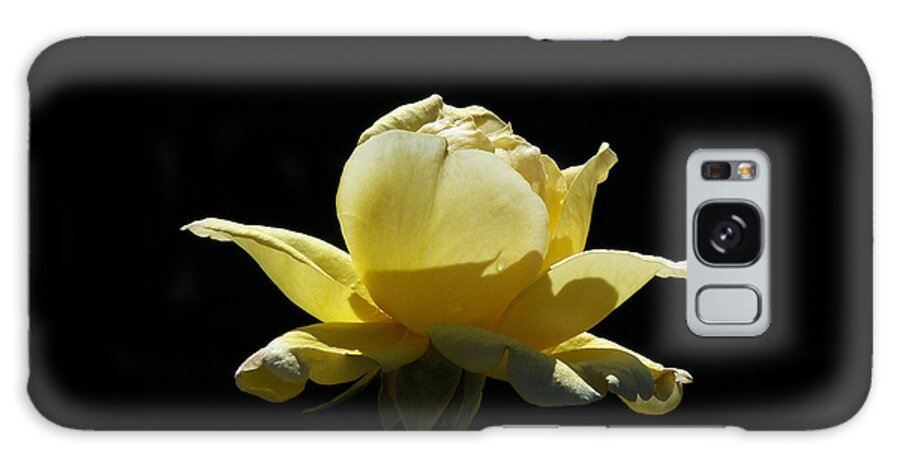Yellow Rose Galaxy Case featuring the photograph Yellow Rose by Ernest Echols