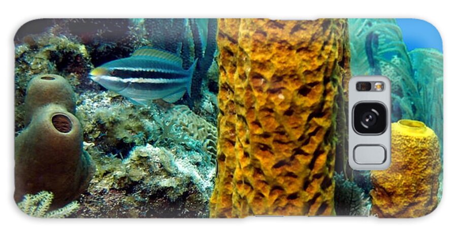 Nature Galaxy Case featuring the photograph Yellow Tube Sponge by Amy McDaniel