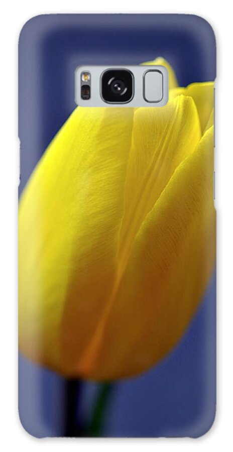Flower Galaxy S8 Case featuring the photograph Yellow Tulip on Blue Background by Phyllis Meinke