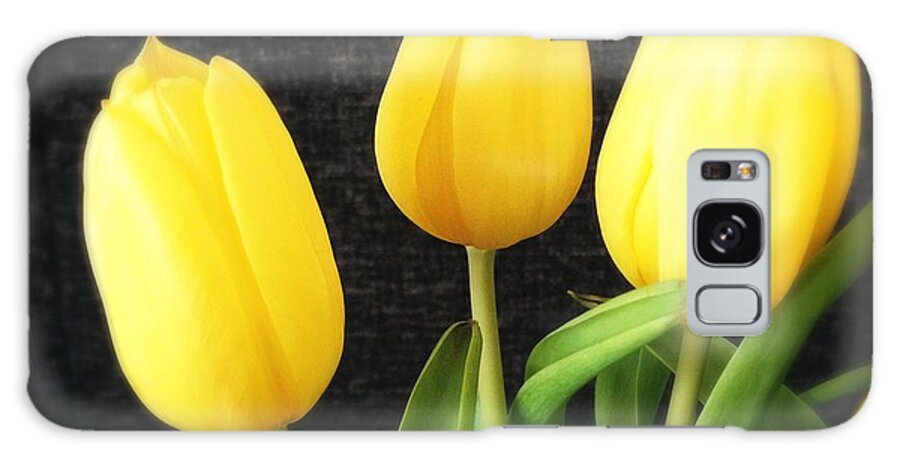 Yellow Galaxy Case featuring the photograph Yellow tulips black background by Matthias Hauser