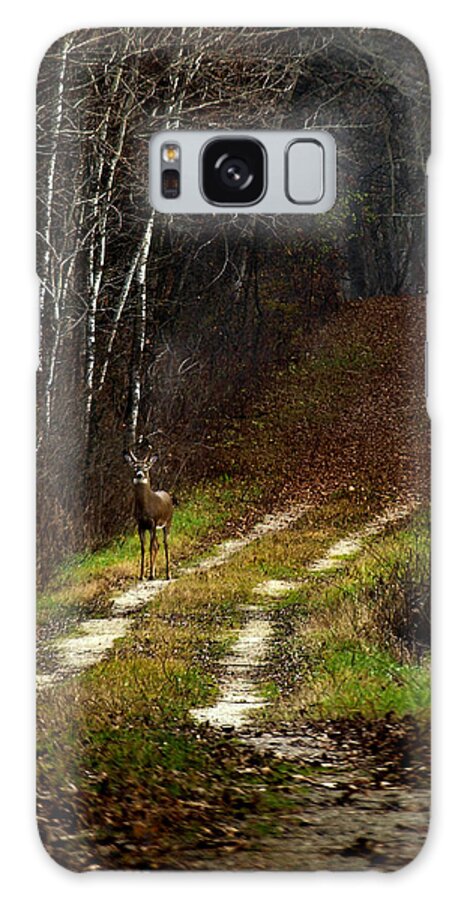 Whitetail Deer Galaxy Case featuring the photograph Young Buck and Autumn by Thomas Young