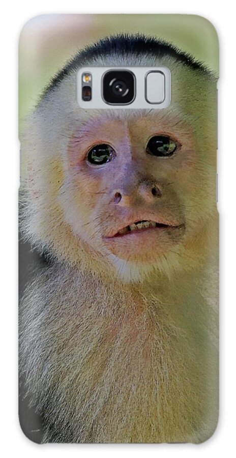 Capuchin Monkey Galaxy Case featuring the digital art Young Innocence by Larry Linton