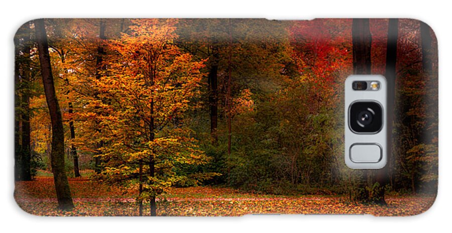 Autumn Galaxy Case featuring the photograph Youth by Hannes Cmarits