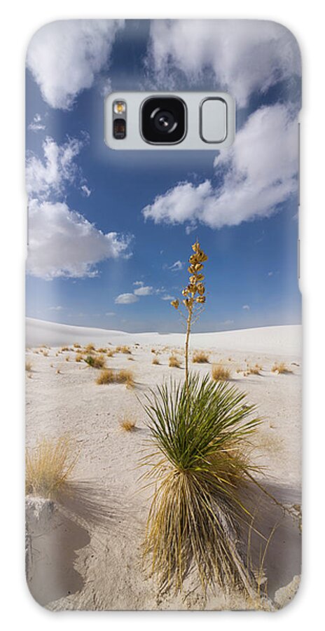 00559170 Galaxy Case featuring the photograph Yucca Growing On Dune In White Sands N by 