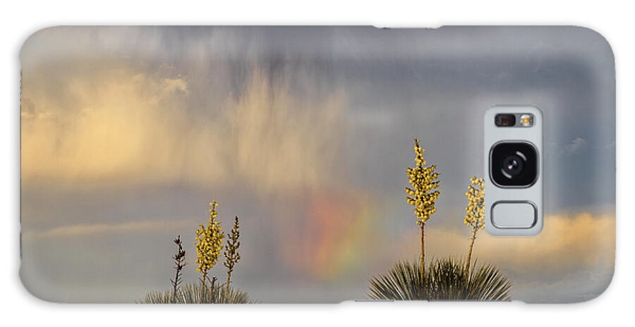 Tranquility Galaxy Case featuring the photograph Yuccas, Rainbow And Virga by Don Smith