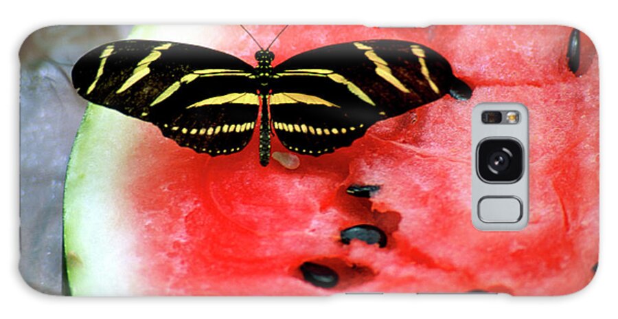 Butterfly Galaxy S8 Case featuring the photograph Zebra Longwing Butterfly on Watermelon slice by William Kuta