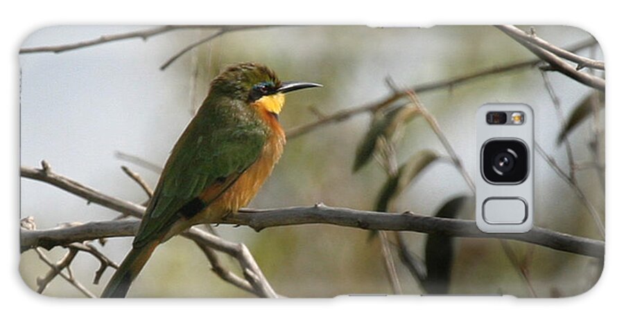 Yellow Throated Bee Eater Galaxy S8 Case featuring the photograph African Bee Eater #1 by Joseph G Holland