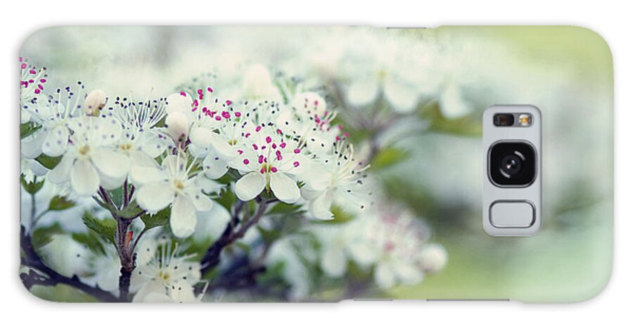 Blossoms Galaxy Case featuring the photograph Blossom by Joel Olives