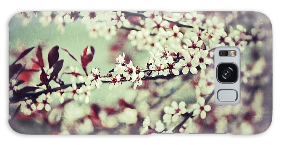 Shrub Galaxy Case featuring the photograph Cherry #1 by Traci Cottingham