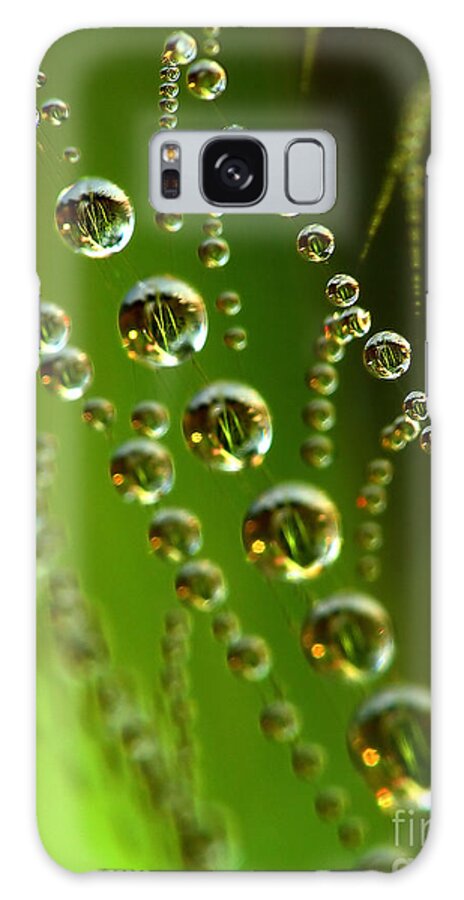 Nature Galaxy Case featuring the photograph Drops in spiderweb #1 by Odon Czintos