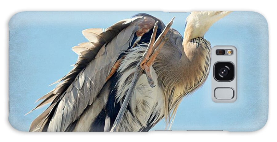 Great Blue Heron Galaxy Case featuring the photograph Footloose #1 by Fraida Gutovich