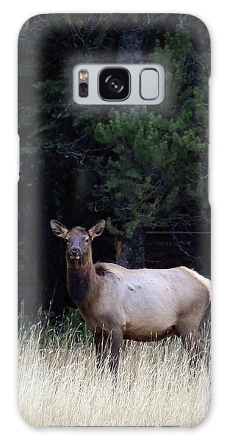 Wolf Galaxy Case featuring the photograph Forest Elk by Steve McKinzie