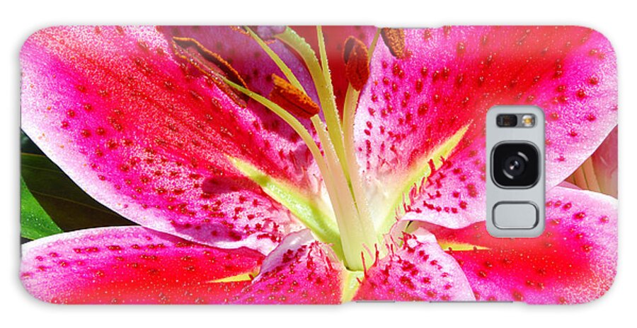 Lily Galaxy Case featuring the photograph Lily #1 by Janice Adomeit