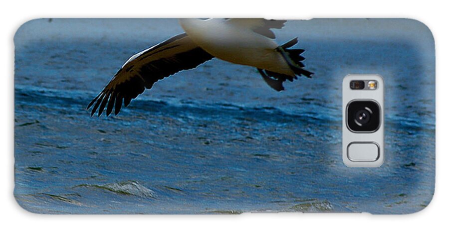 Australia Galaxy Case featuring the photograph Pelican in flight #1 by Blair Stuart