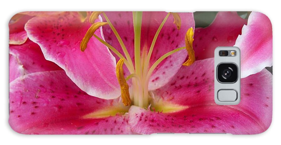 Flower Galaxy Case featuring the photograph Pink Lily with Water Droplets #1 by Corinne Elizabeth Cowherd