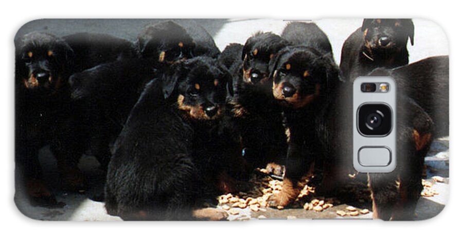 Rottweilers Galaxy Case featuring the photograph Puppy Chow by Lee McCormick