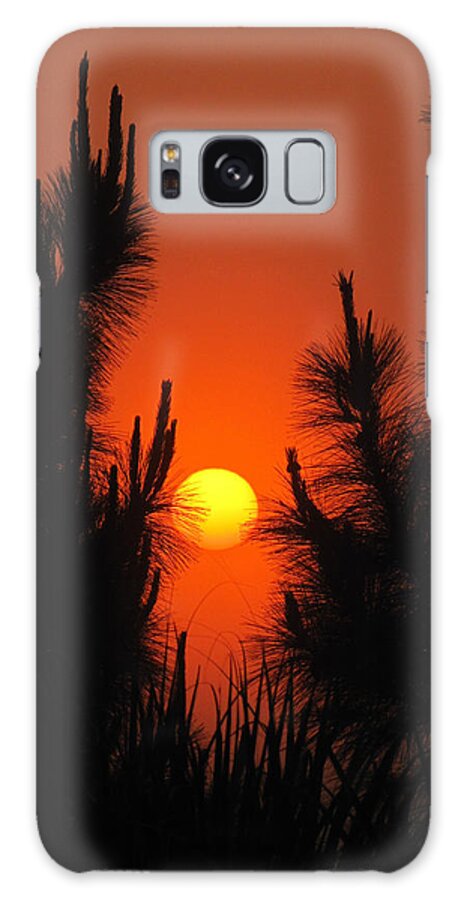 Nature Galaxy Case featuring the photograph Rise and Pine #1 by Peggy Urban