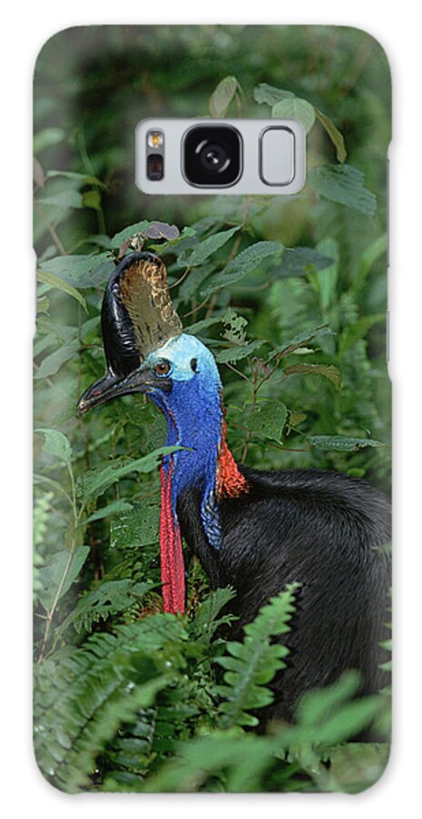 Mp Galaxy Case featuring the photograph Southern Cassowary Casuarius Casuarius #1 by Konrad Wothe